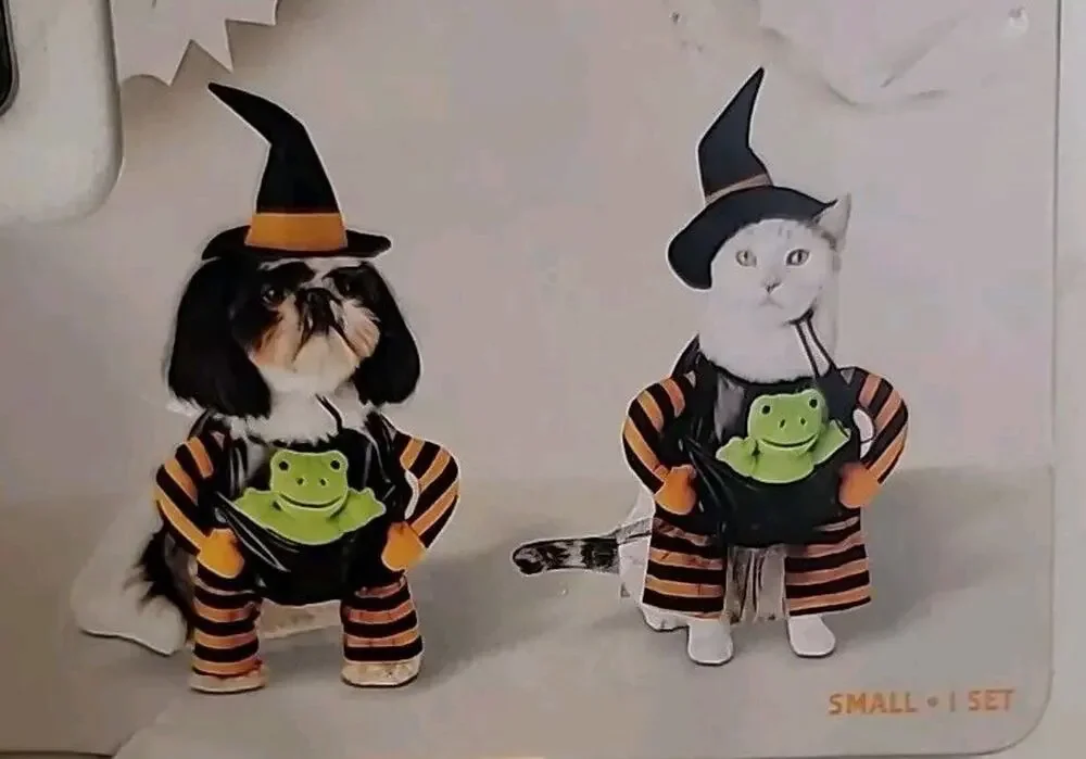 PET Halloween Costume Witch With Removable PET FROG Size medium NEW